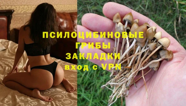2c-b Баксан